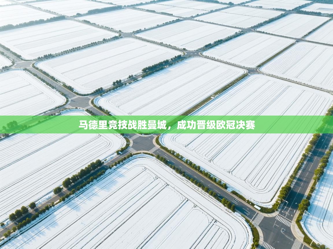 开云体育入口客服-马德里竞技战胜曼城，成功晋级欧冠决赛  第2张