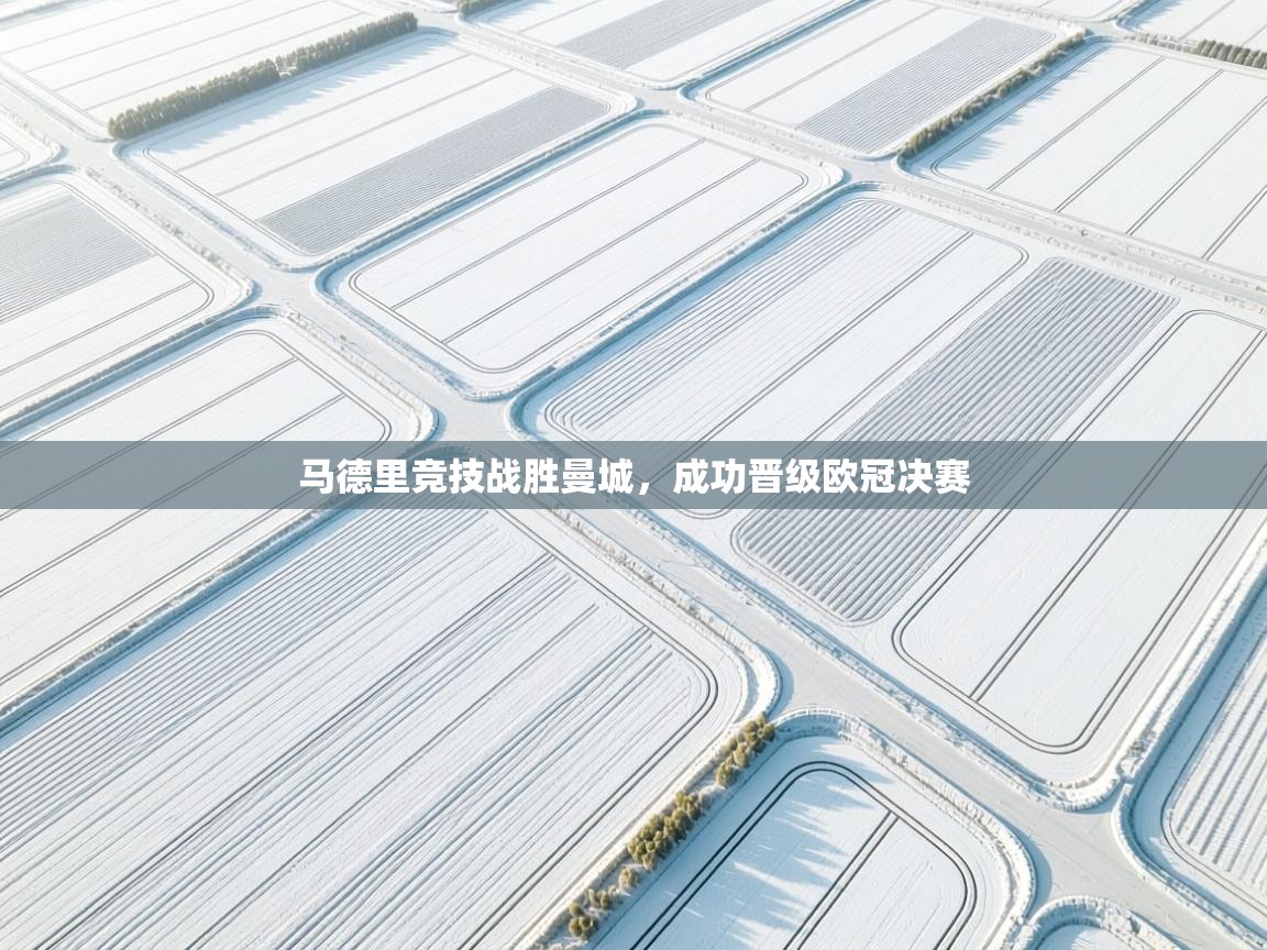 开云体育入口客服-马德里竞技战胜曼城，成功晋级欧冠决赛  第4张