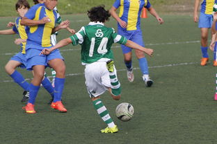 开云体育iOS安装教程-火箭队主场惨败，哈登三分难投  第4张